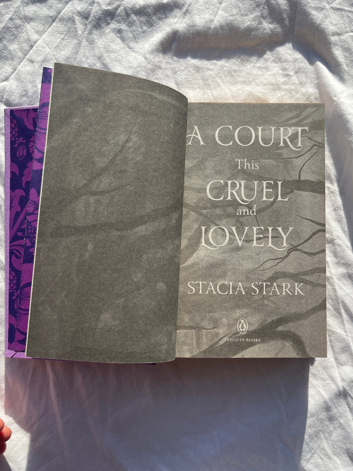 A Court This Cruel and Lovely | Handcrafted Special Edition Rebind | Kingdom of Lies
