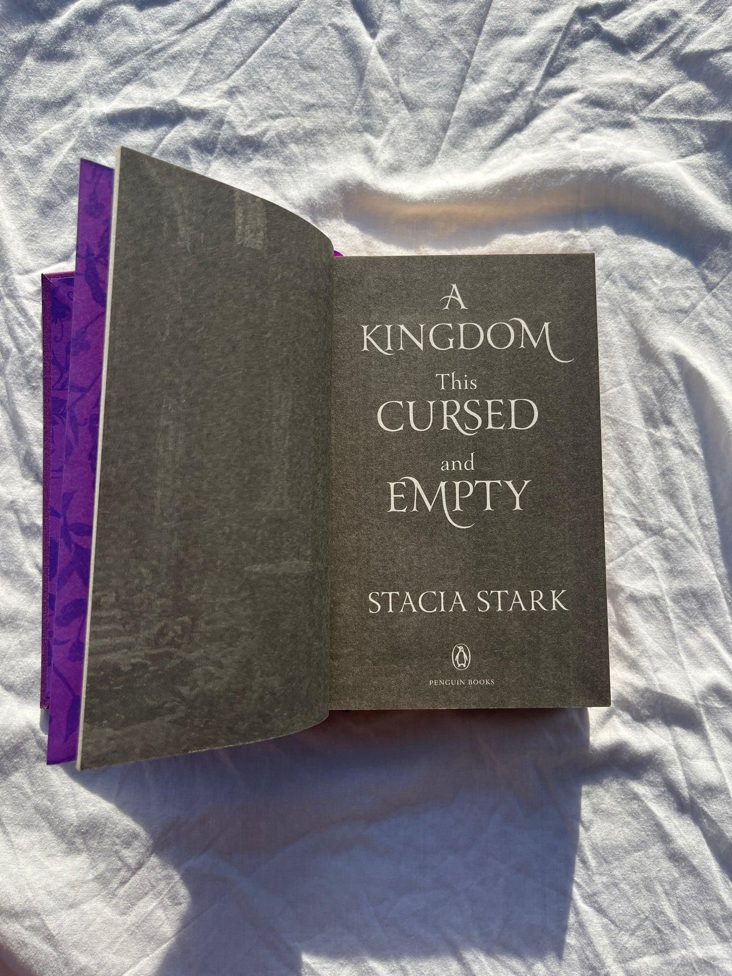 A Kingdom This Cursed and Empty | Handcrafted Special Edition Rebind | Kingdom of Lies